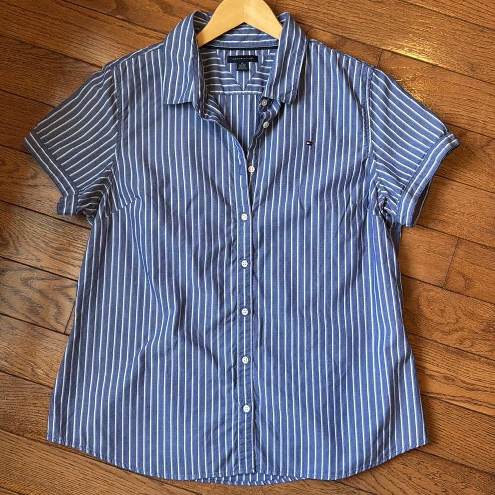 Tommy Hilfiger BLue & White Striped Button-Up Short Sleeve Shirt - Picture 2 of 13